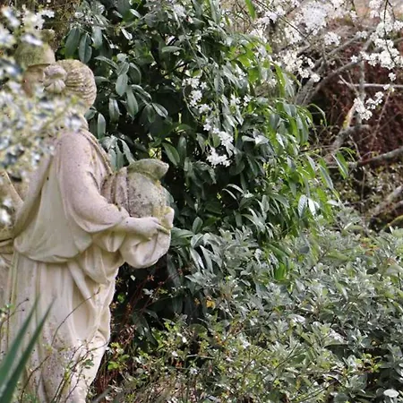 Casa vacanze élégant Manoir Avec Jardin Et Cheminée, à - Fr-1-497-180 Saint-Pierre-des-Loges